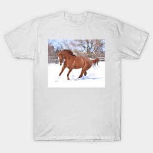 Verrazano filly T-Shirt